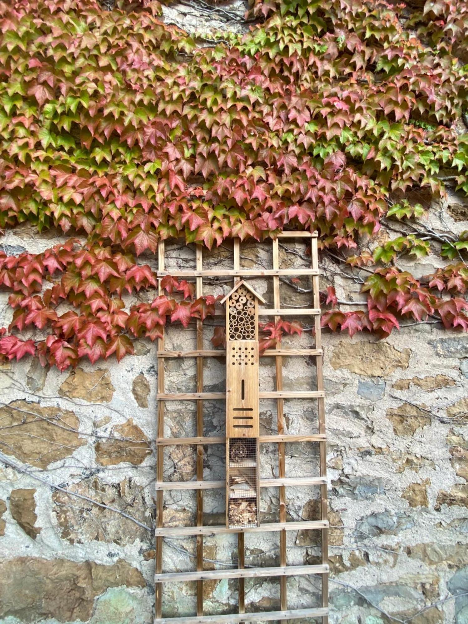 Les Caselles, Gite Et Maison D'Hotes Saint-Beauzely Exteriör bild